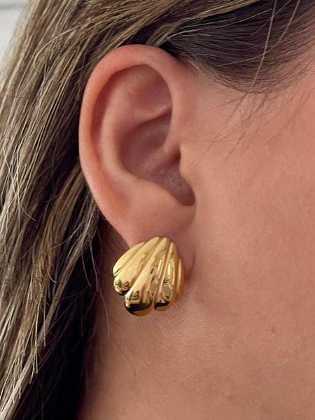 Shell Earrings